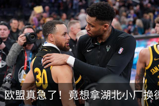欧盟真急了！竟想拿湖北小厂换德国12人作坊，阿斯麦供应链要断了